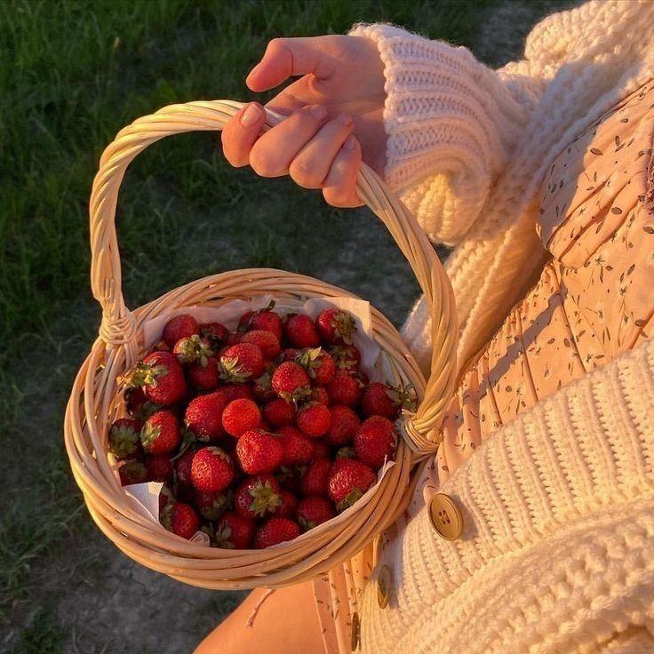 Sun-Kissed Orchard Berry Selection